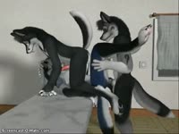 Hentai dogs enjoy an MMF threesome